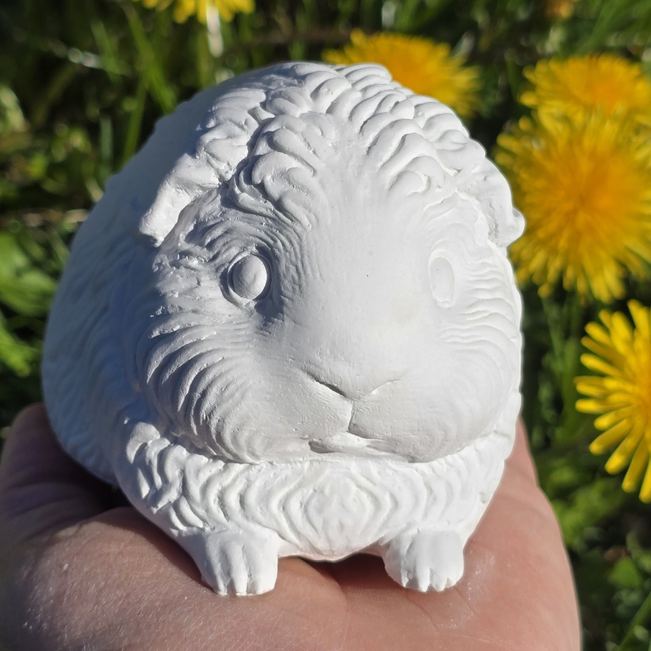 Meerschweinchen - 100 % made by Selberdings – Bild 6