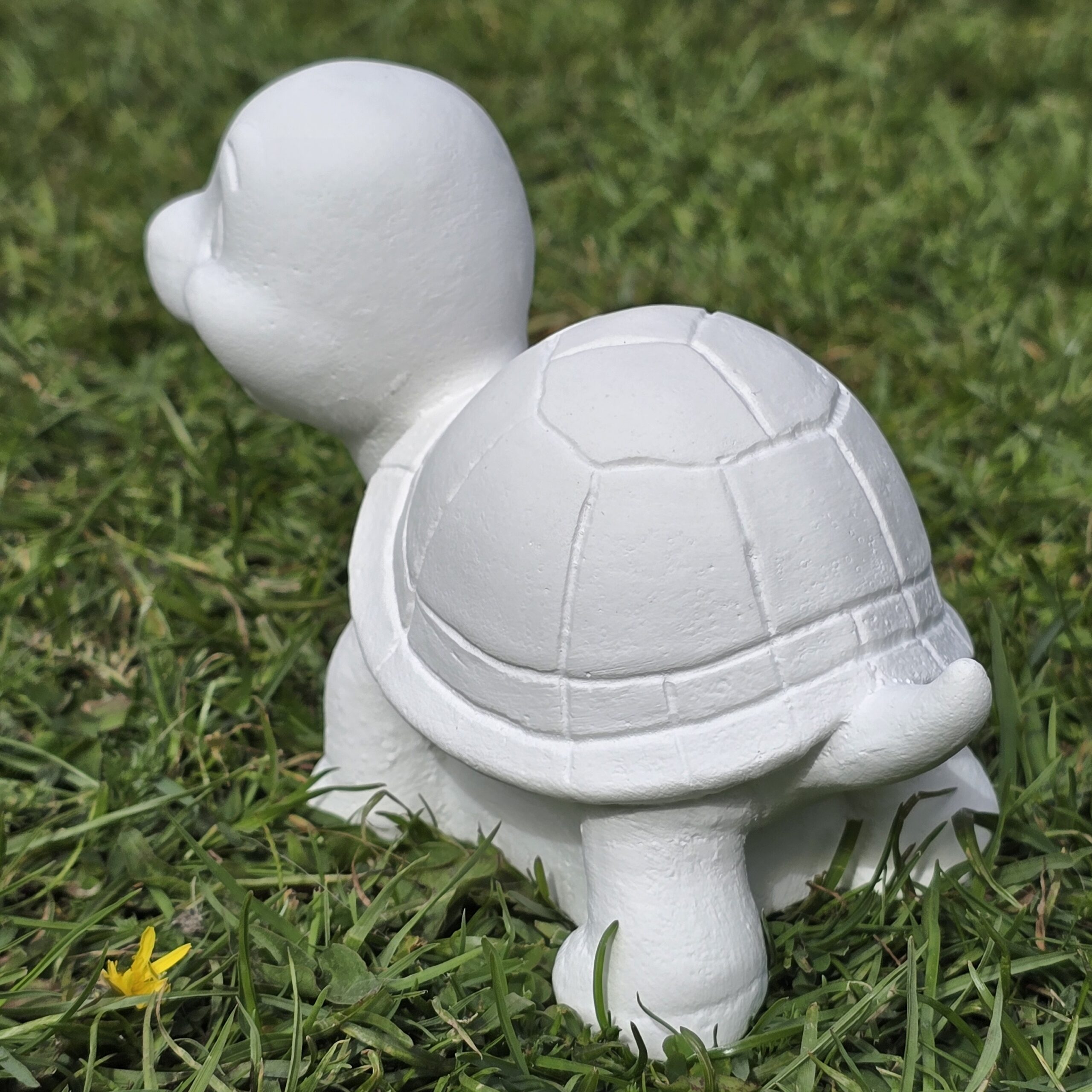 Schildkröte – Bild 3