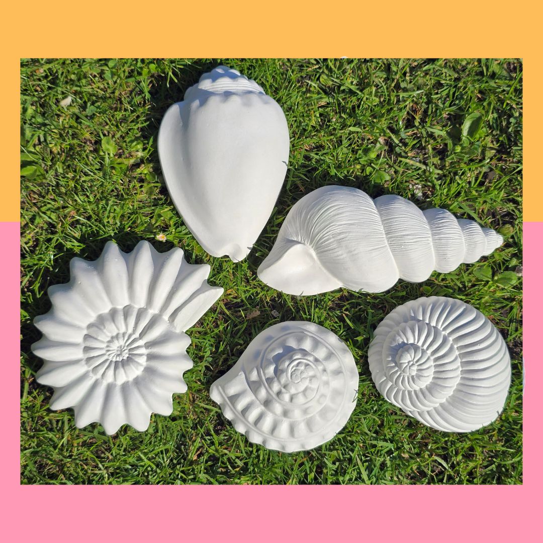 Große Muscheln