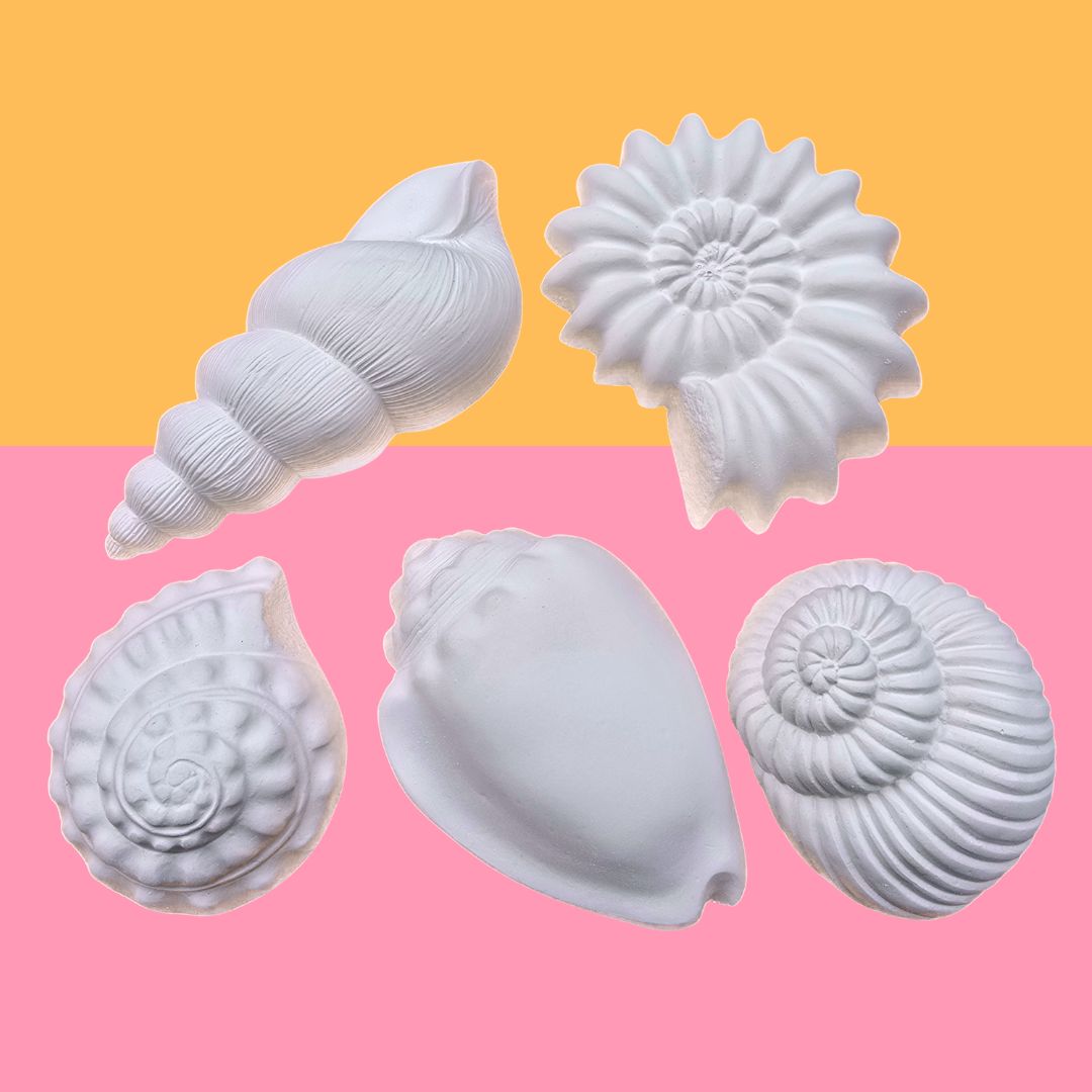 Große Muscheln – Bild 2