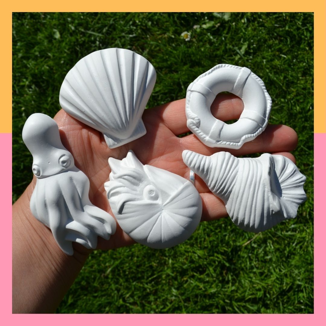 Muschel-Set