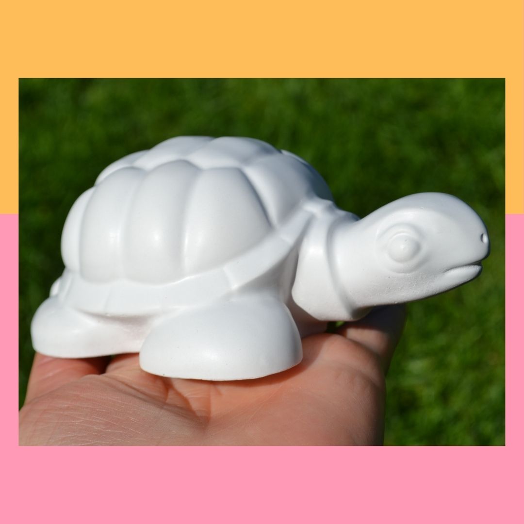 Schildkröte 2