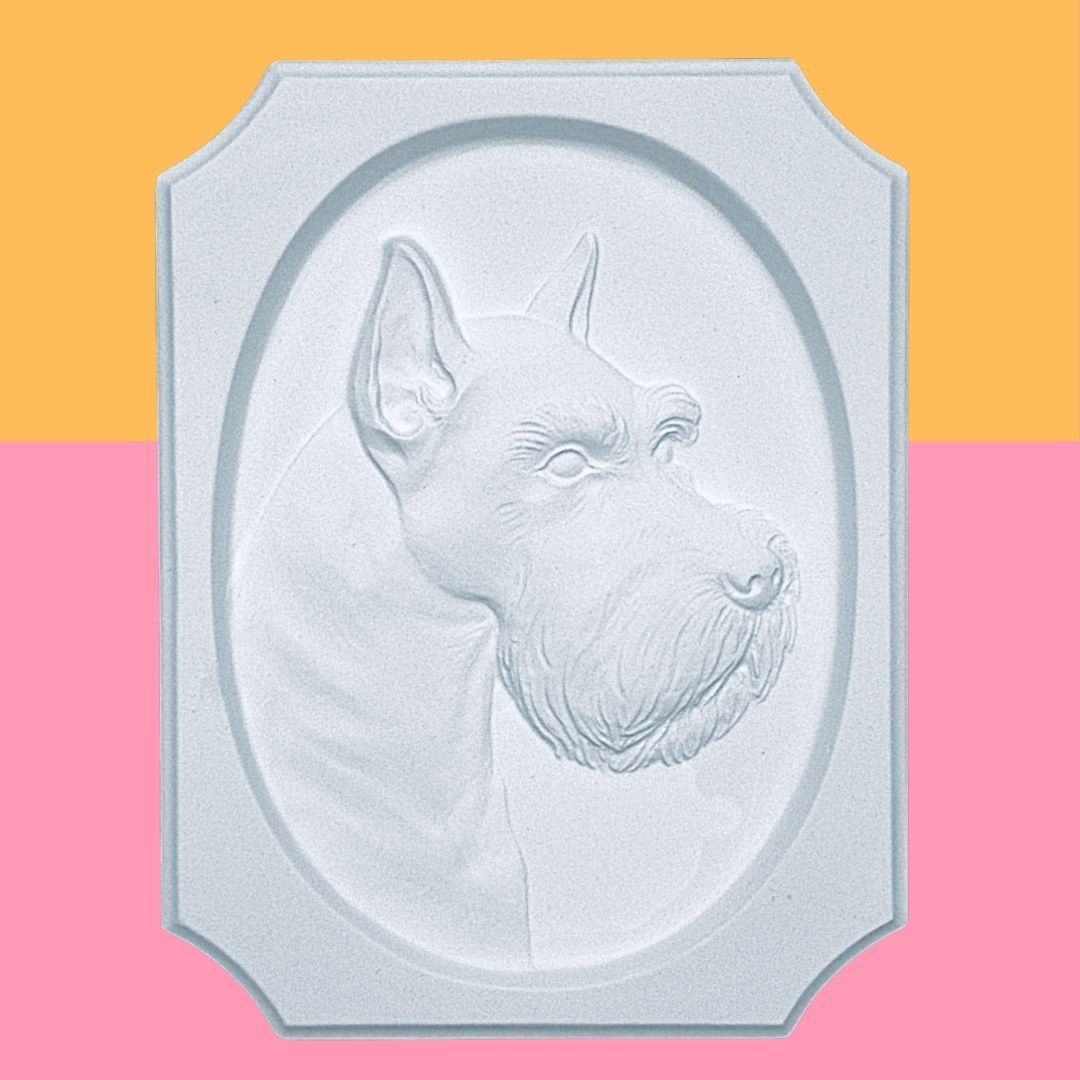Schnauzer
