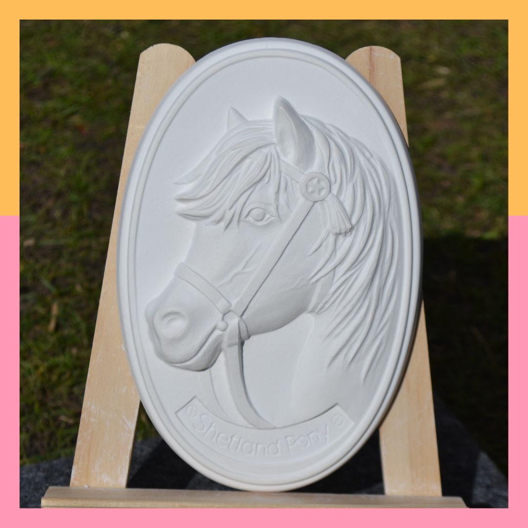 Shetland Pony